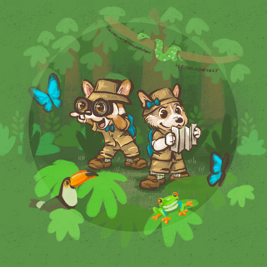 Explorers