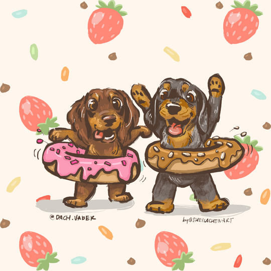 Doughnut Hula Hoop