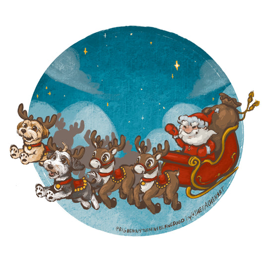 Santa Sleigh
