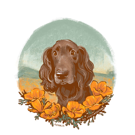 Poppyfield