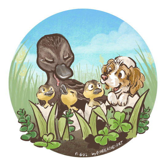 Egg Day Ducklings