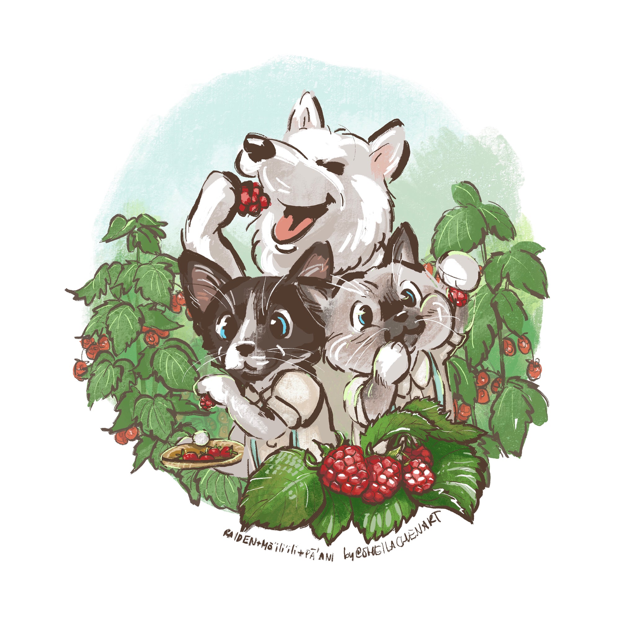 Raspberry