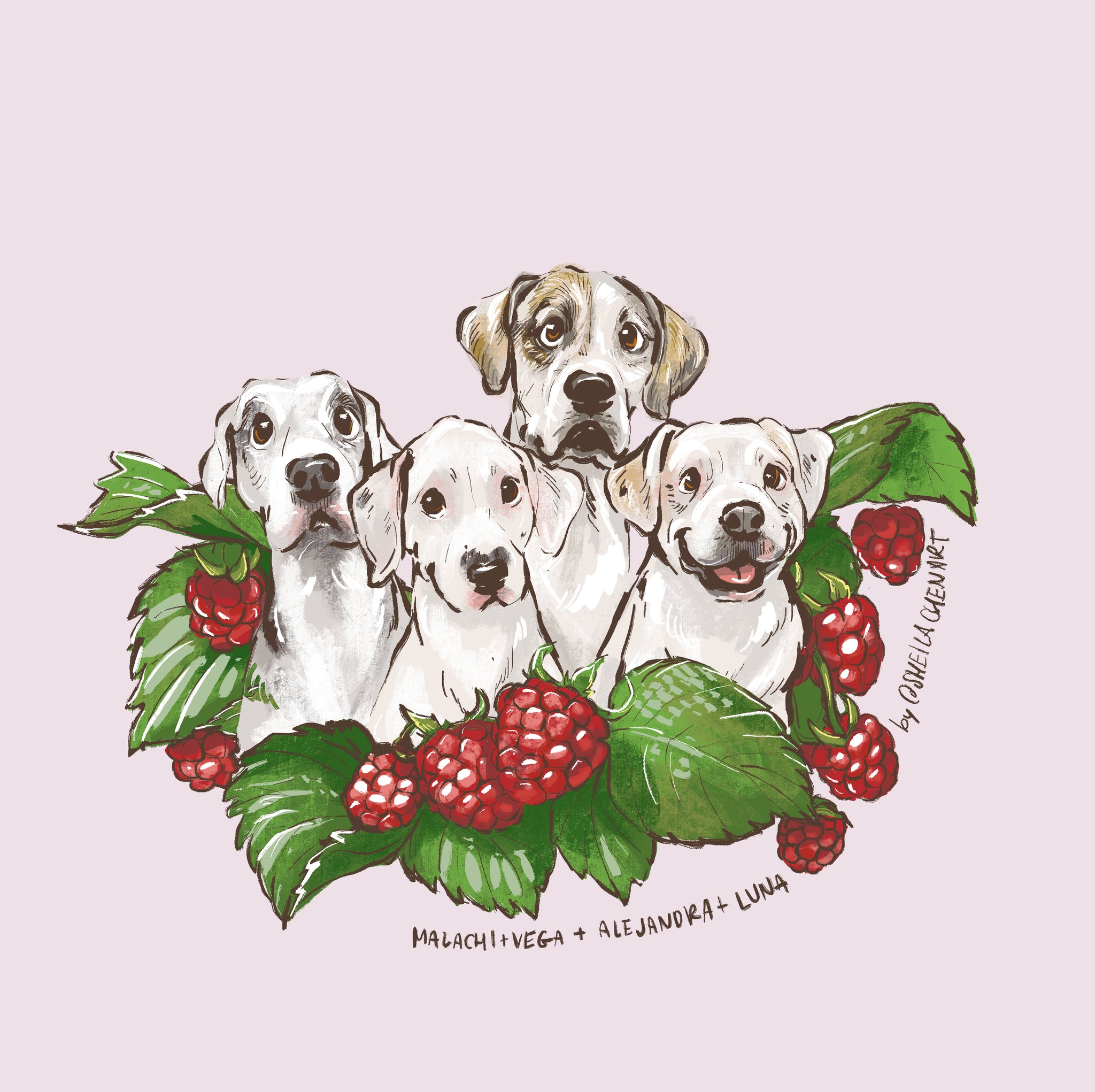 Raspberry Stamp
