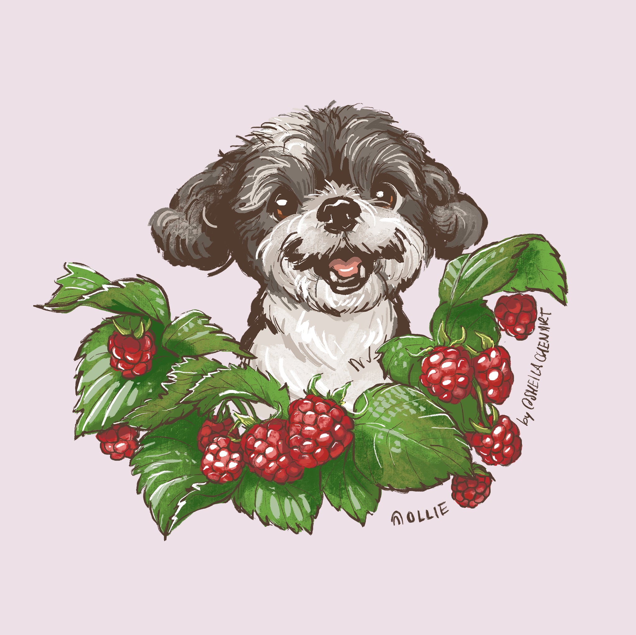 Raspberry Stamp