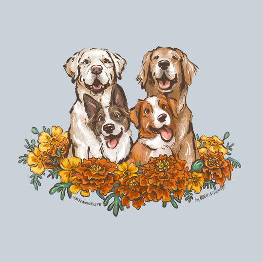 Marigold