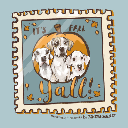 The Stamp Collection 2025