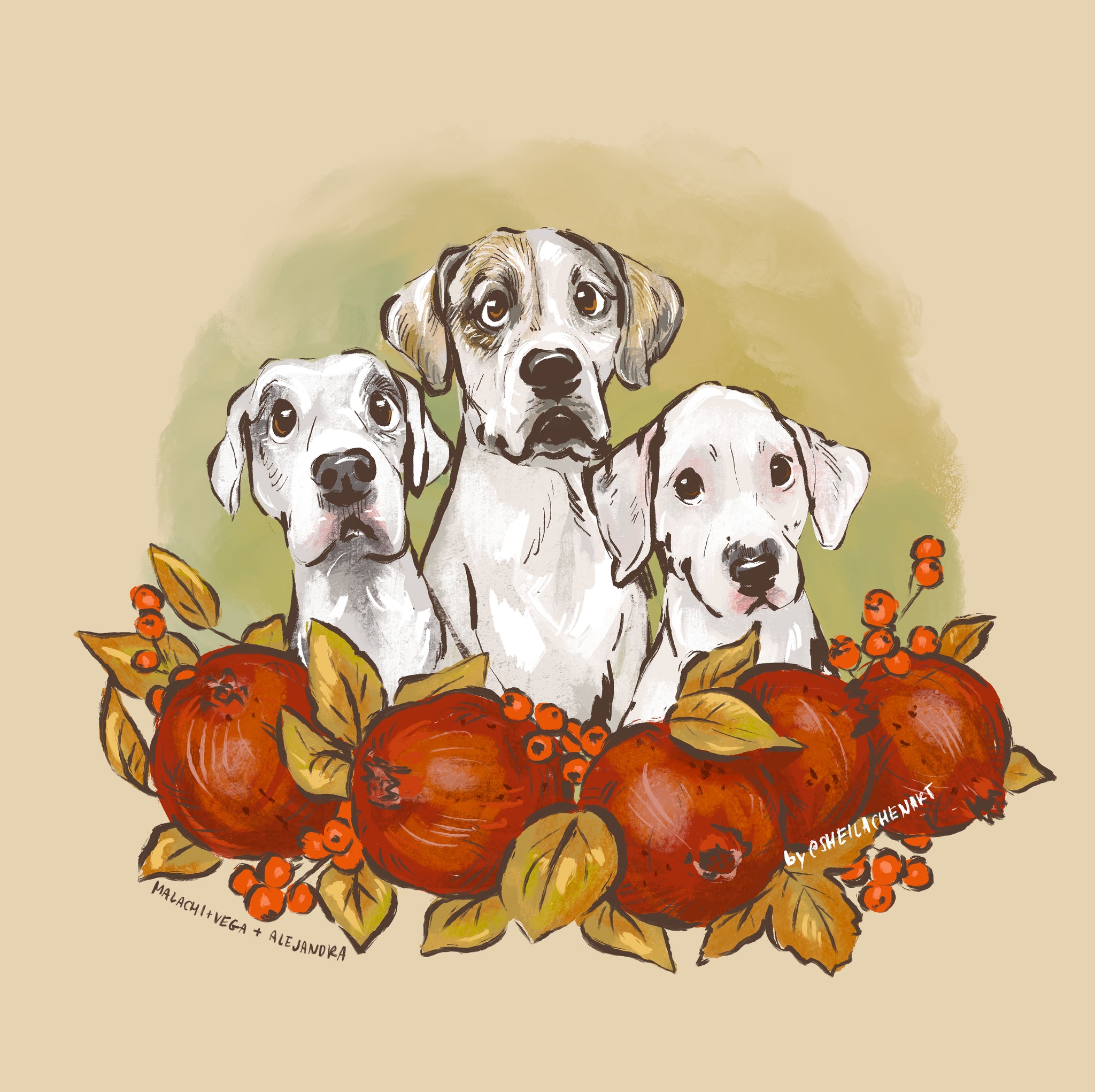 Pomegranate