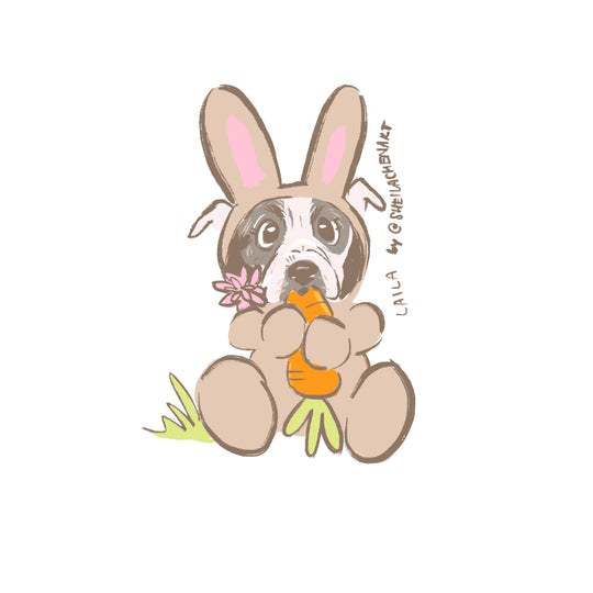 Nibblin' Bunny