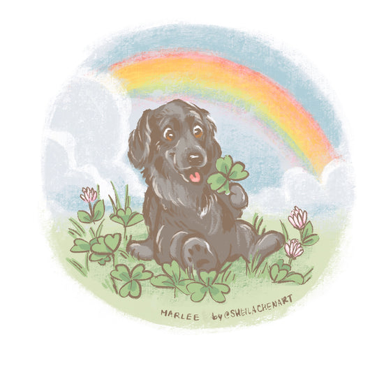 Rainbow Clover