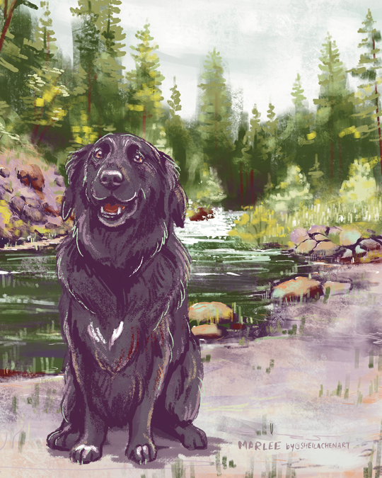 Pine Forest River