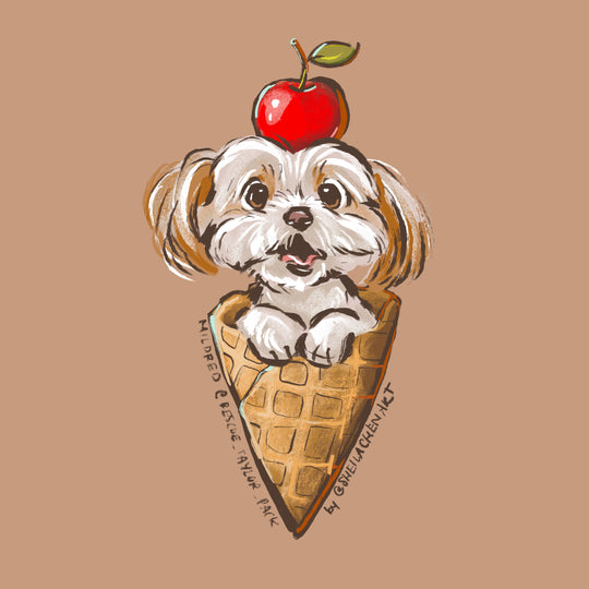 Waffle Cone