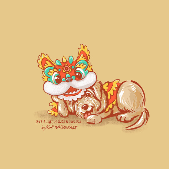 Dragon Costume