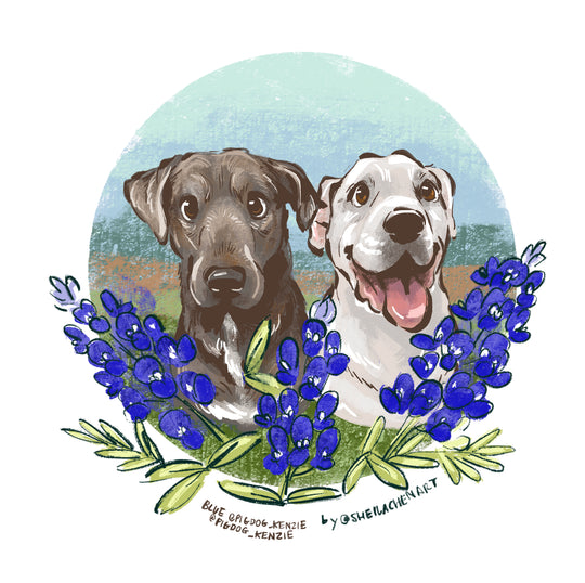 Bluebell Flowers