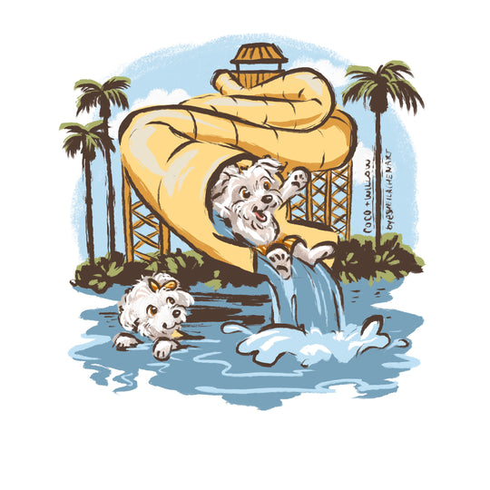 Water Slide