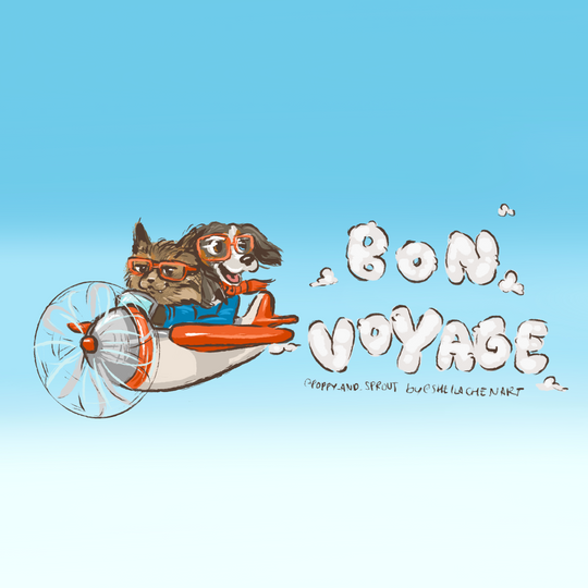 Bon Voyage Plane