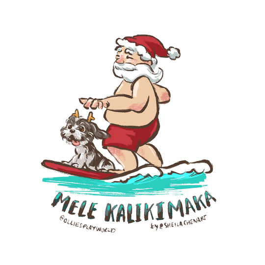 Surfing Santa