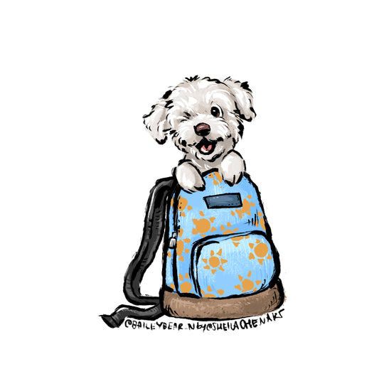 Backpack