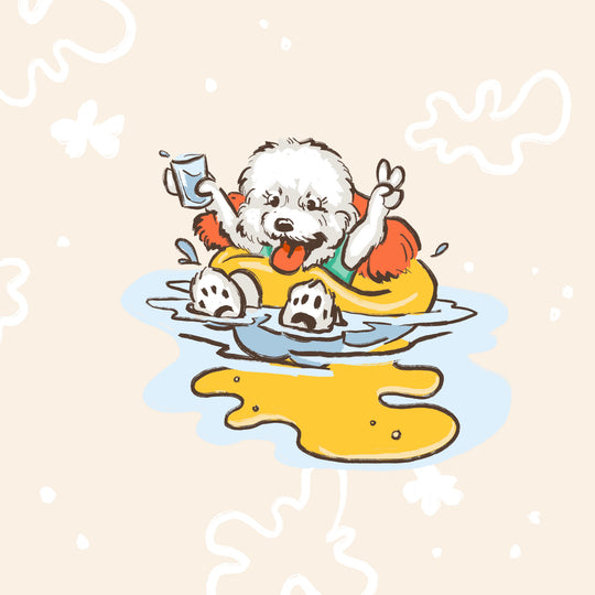 Splash