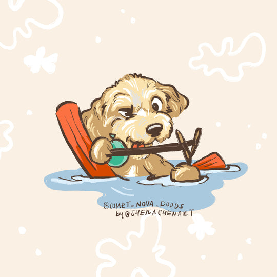 Slingshot Floatie