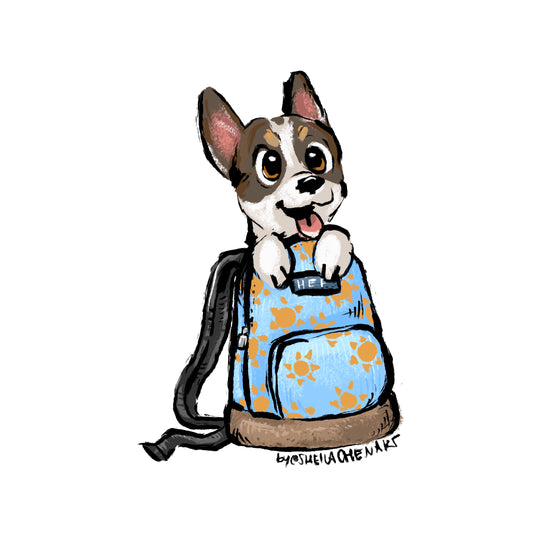 Backpack