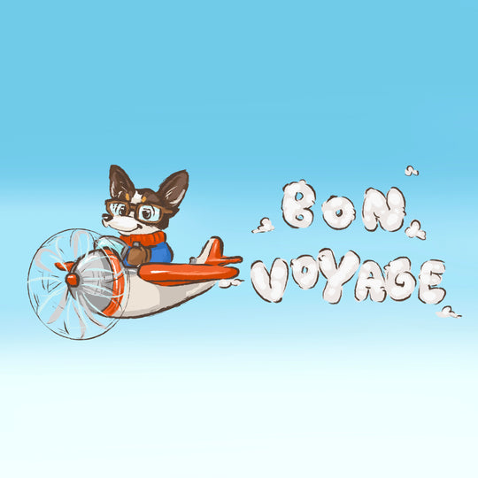 Bon Voyage Plane