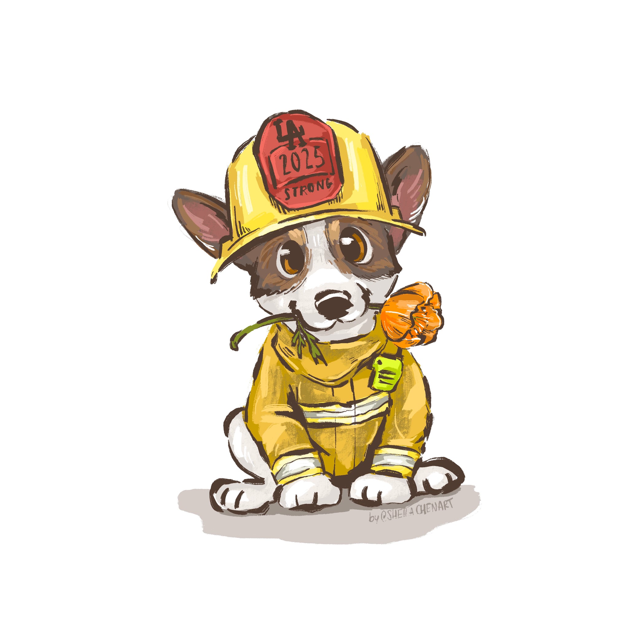 Firefighter