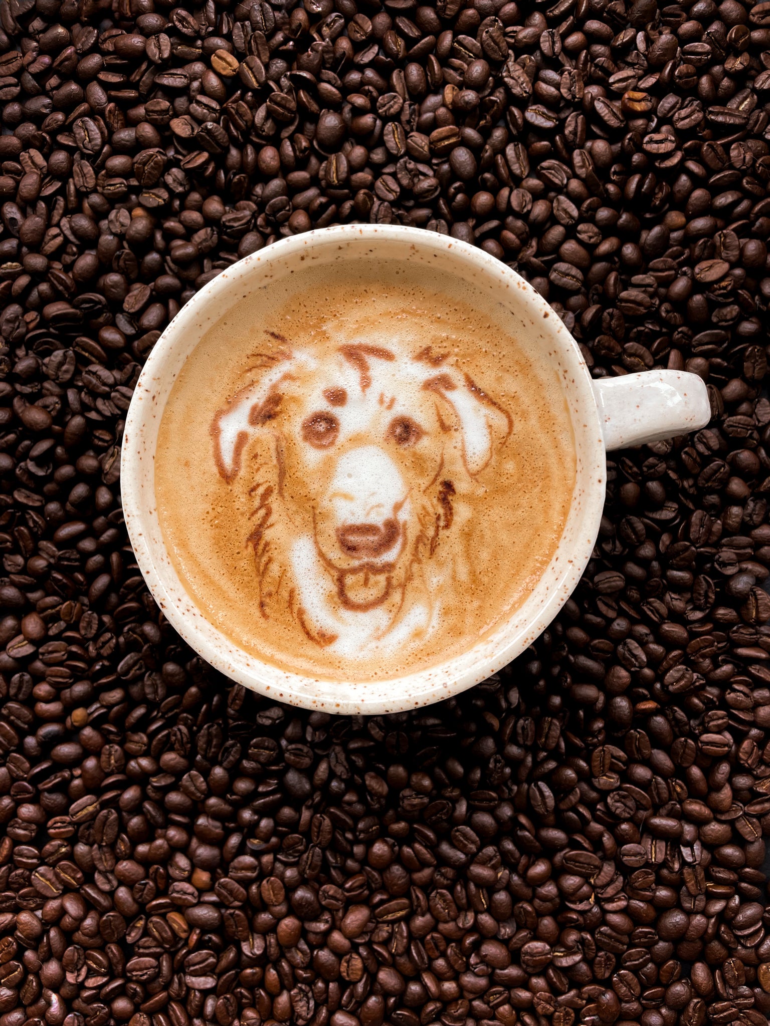 Latte Pet Portrait