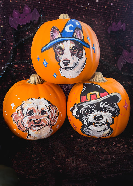 Pawpkin Patch Fundraiser