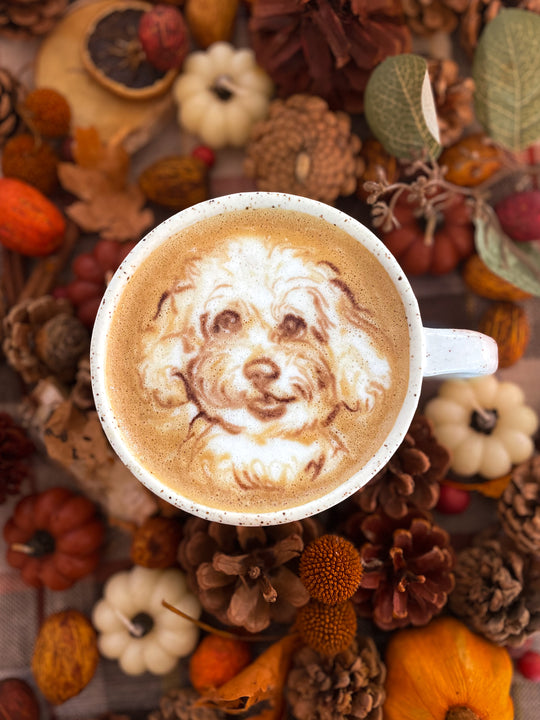 Pumpkin Spice Latte Pet Portrait