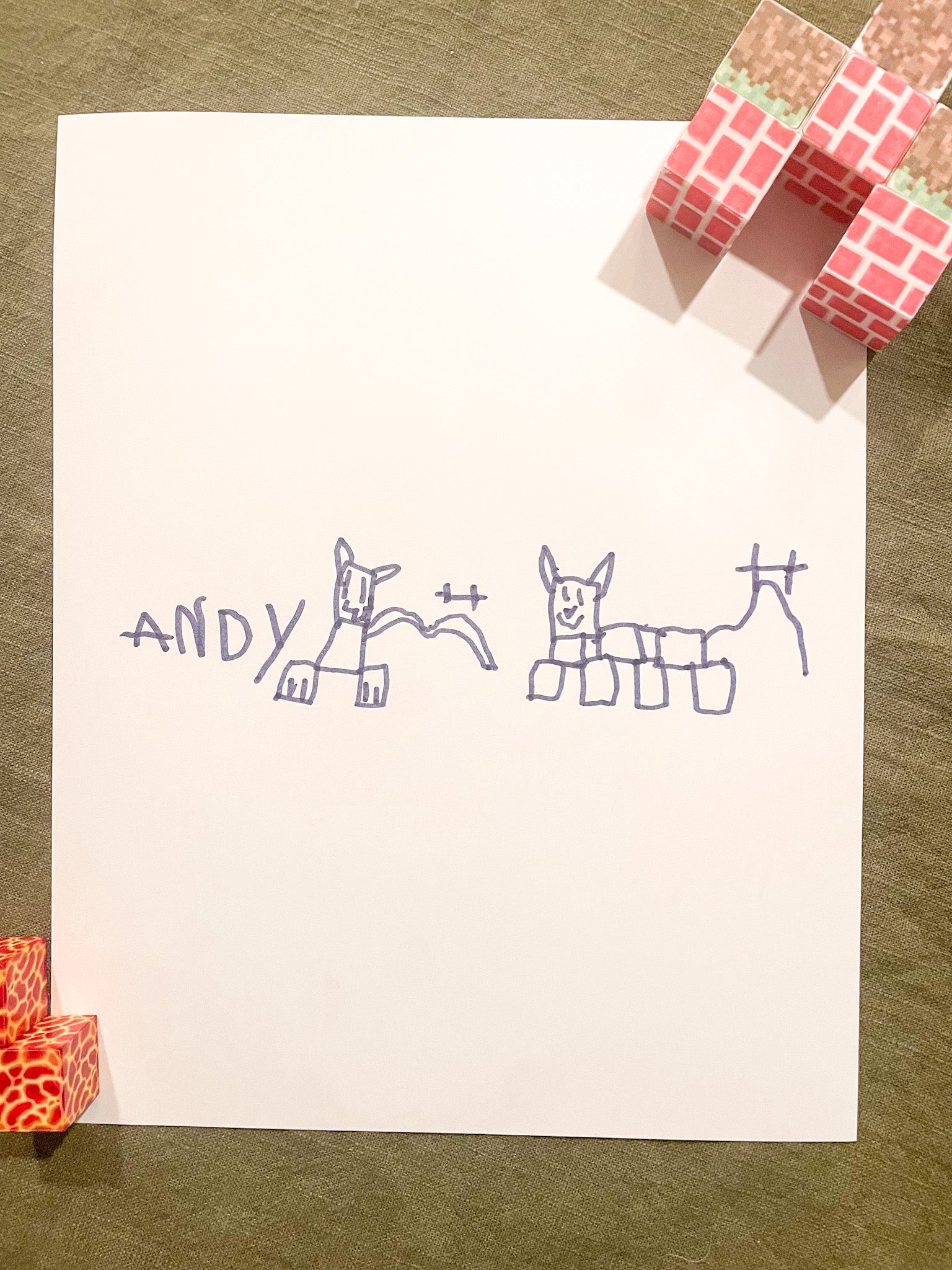 Andy's Pet Portrait