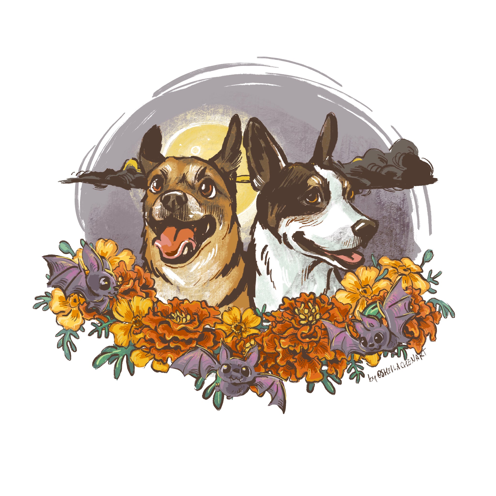 Marigold Bat