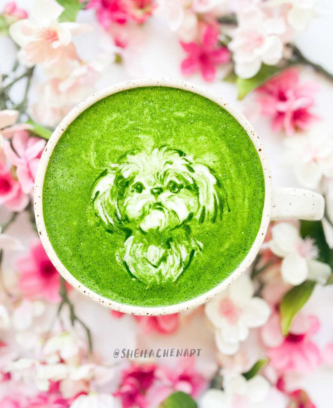 Matcha Pet Portrait- Blossoms