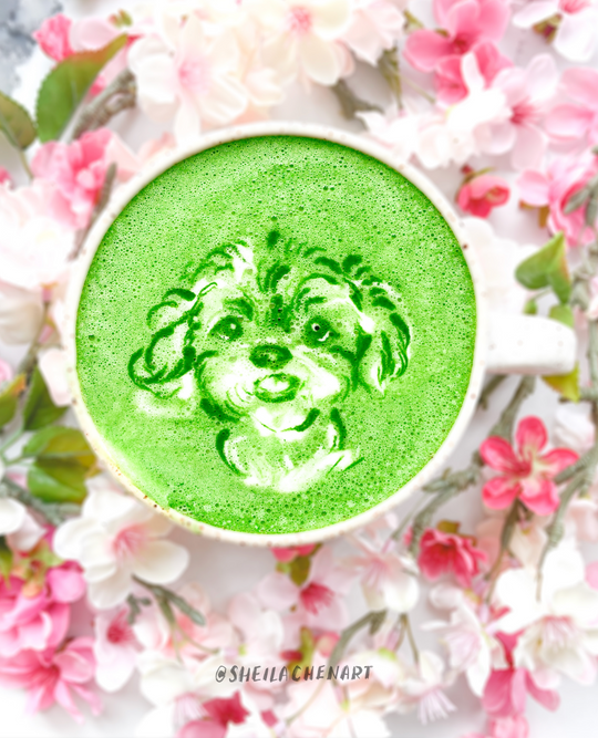 Matcha Pet Portrait - Blossoms