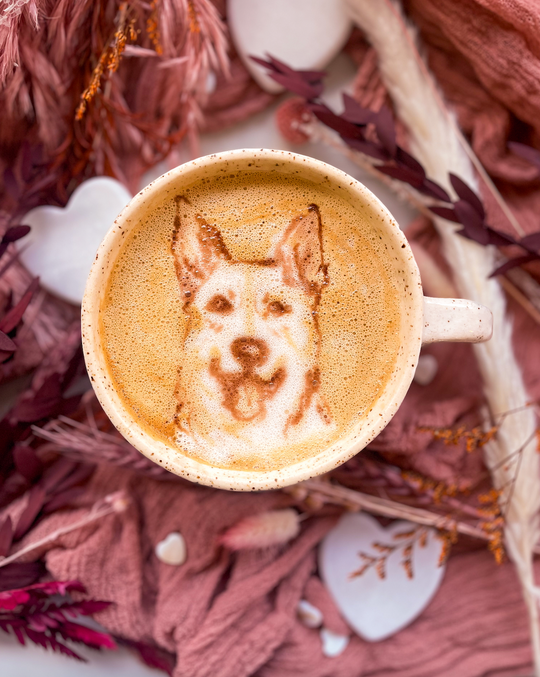 CHANCE - Buttsniffer - Blush Valentines Latte Pet Portrait