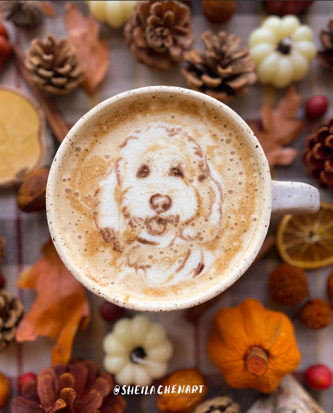 Pumpkin Spice Latte Pet Portrait