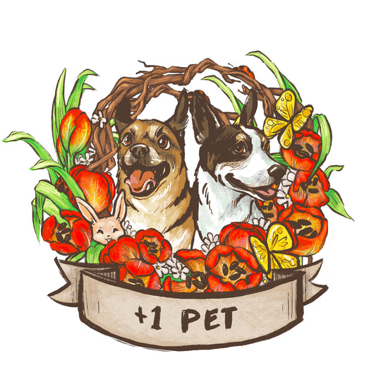 The Stamp Collection Pet Add-Ons