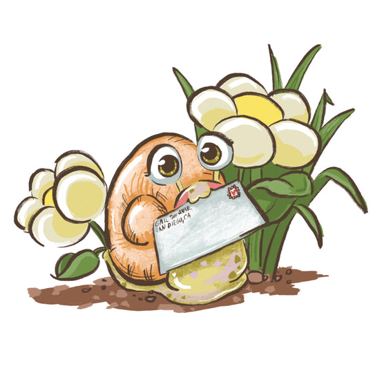 Snail Mail with Gail