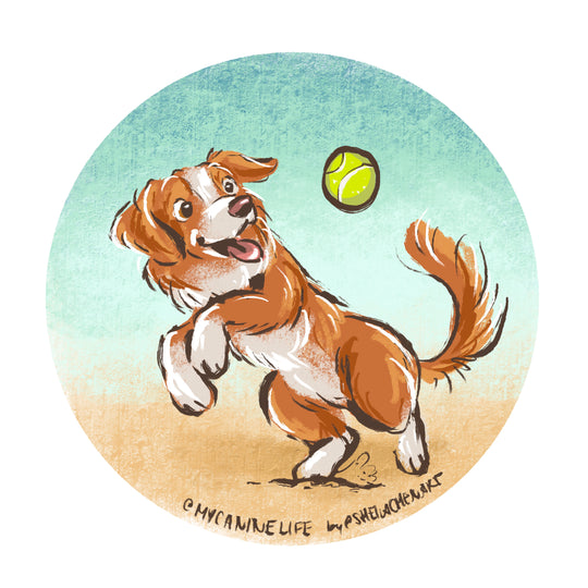 Beach Boll