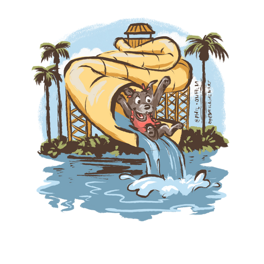 Water Slide
