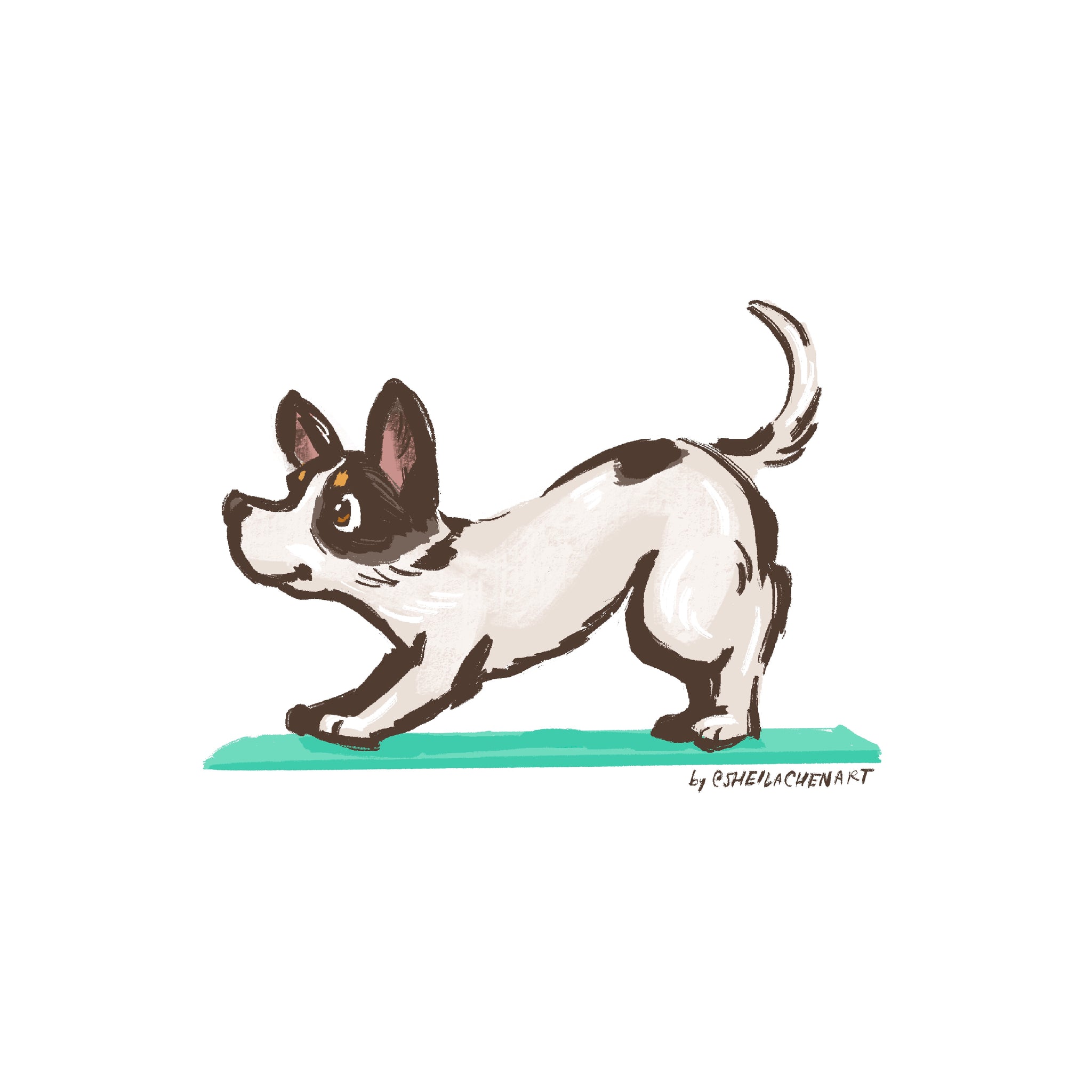 Pawtrait Club One Pet