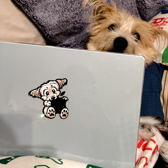 MacBook Decals (Digital)