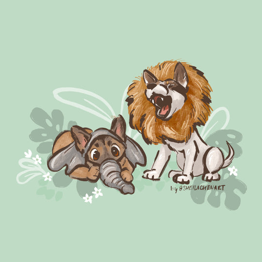 Safari