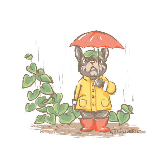 Umbrella