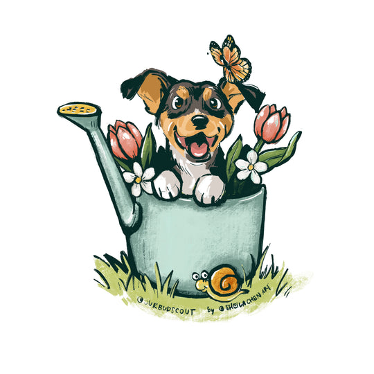 Watering Can