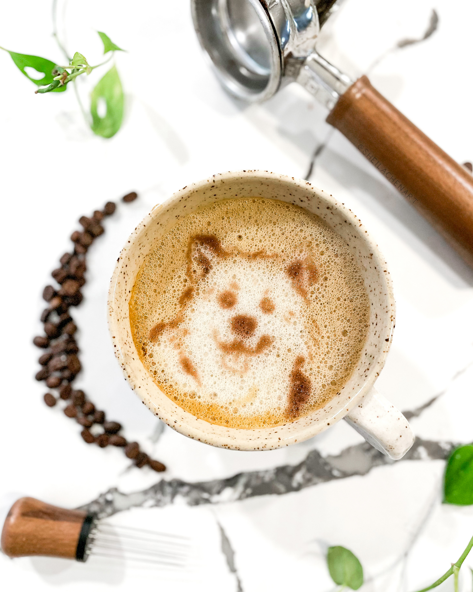 Latte Pet Portrait