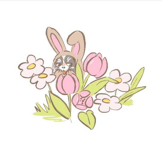 Hiding Bunny