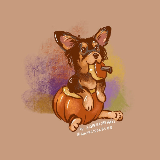 Pawpkin Cutie